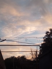 964991