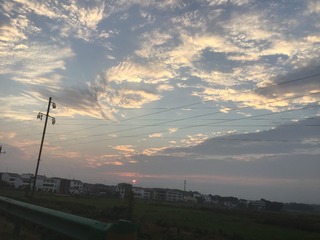 C5736F6D-8D1C-4DB5-A37D-626789919A38/L0/001
