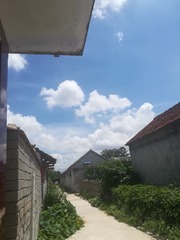 3490803