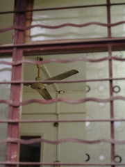 TAN11919