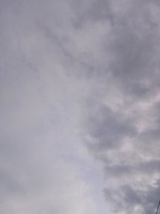 1130080