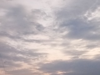 1130086