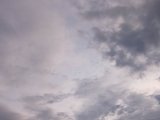 1130083