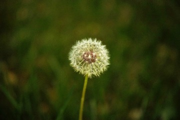 1000003164