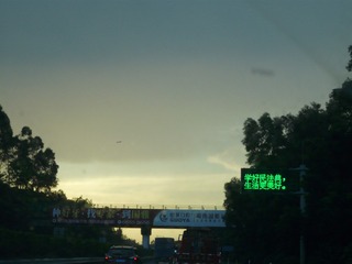17033