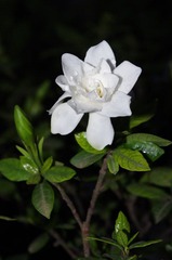 IMGP0835.JPG