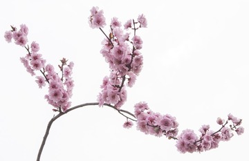 C0221AE1-FD00-48BB-B078-AF47CA57F089/L0/001