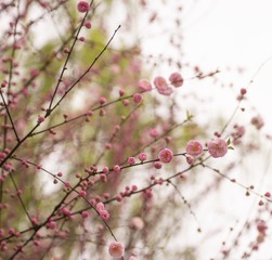 C2B92E56-1B30-48FD-A8AC-AE47835669E6/L0/001