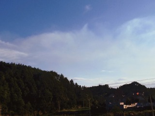 360083