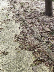 1000058187