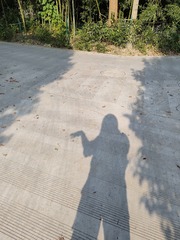 1000056293