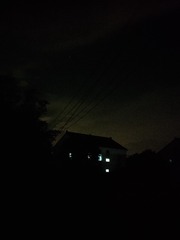 1000050161