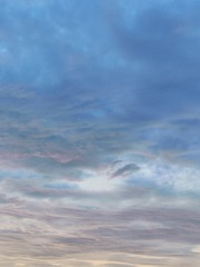1000020095