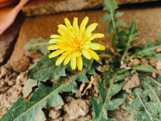 1000003319
