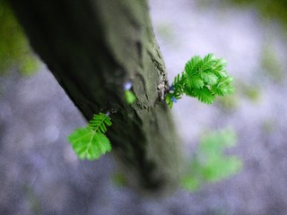 _MG_1444.jpg