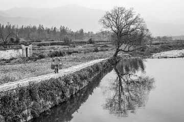 _MG_0896.jpg
