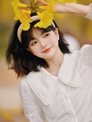 51317