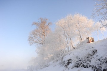 DSC_8770.jpg