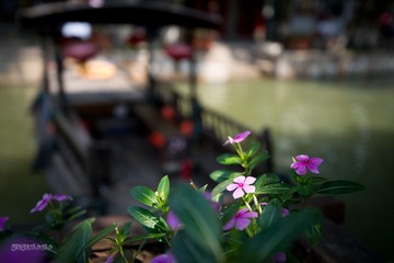 小花
