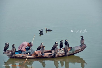 沙家浜-渔