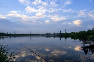绍兴公园内的一株，应该是樱花吧