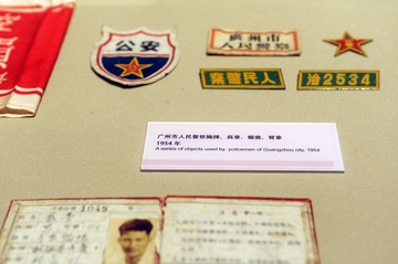 盆栽郁金香