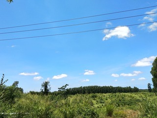 855629