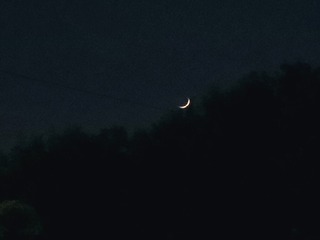 2803156