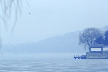3W8A1026y_DxO