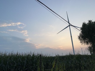 5EC8A508-A0B2-4E6A-BD7D-20396D5940F3/L0/001