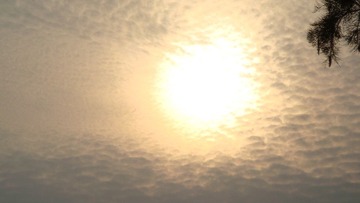 DSC00689.JPG