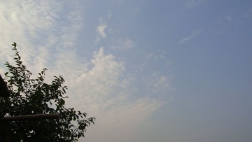 DSC00702.JPG