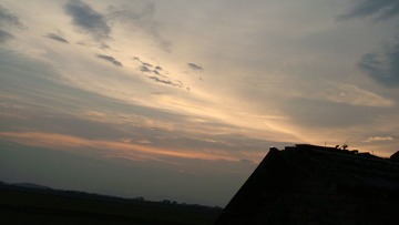 DSC01798.JPG