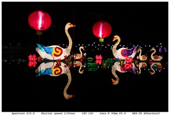 DSC03219-9.jpg