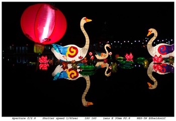 DSC03226-16.jpg