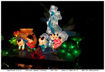 DSC03254-44.jpg