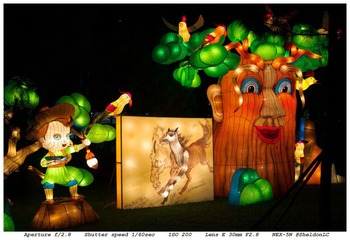 DSC03272-62.jpg