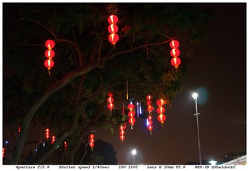 DSC03356-146.jpg