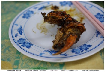 DSC03695.jpg