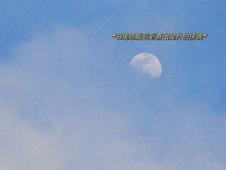 163211