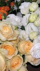 1D1A1184-2886-42CA-9C2C-8BC57A4B18AC/L0/001