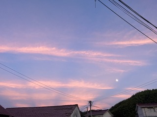 0FD36CA3-A009-43B4-B4B8-6EA6EC3A5E72/L0/001