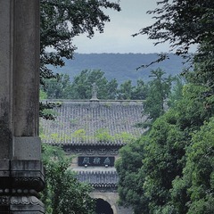 323A2273-18F1-4DC0-BA32-4211177AAC54/L0/001