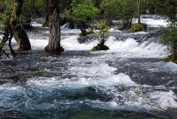 DSC_0025.JPG
