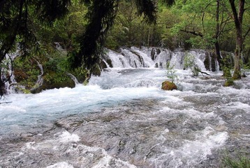 DSC_0033.JPG