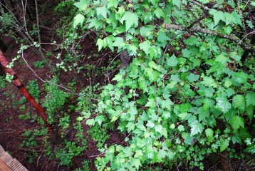DSC_0044.JPG