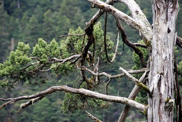 DSC_0046.JPG