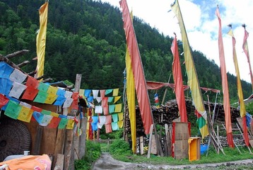 DSC_0079.JPG