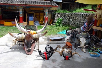 DSC_0085.JPG