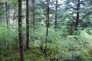 DSC_0112.JPG